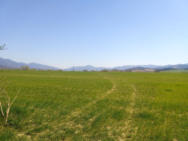 MARTIN-Slnečné Lány pozemok na developerské a komerčné účely 11 129m2 - Rozsiahle zelené pozemky s výhľadom na hory, ideálne pre bývanie v prírode.