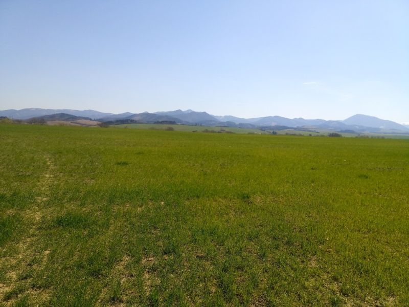 MARTIN - Záturčie pozemok o výmere 711m2 - Zelené lúky s panorámou hôr lákajú na oddych na rekreačné pozemky.