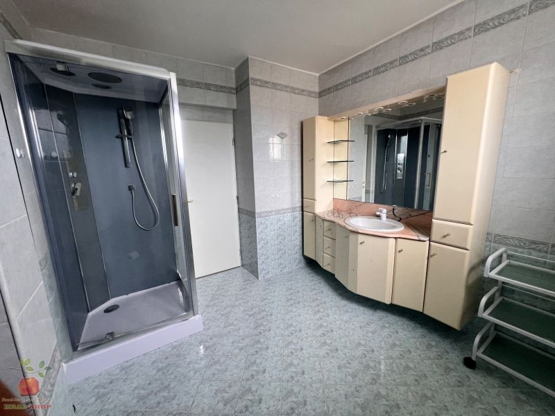 Veľký rodinný dom v Tlmačoch, bývajte vo veľkom alebo prenajímajte - Kúpeľňa v rodinnom dome s elegantným sprchovacím kútom a umývadlovou zostavou.