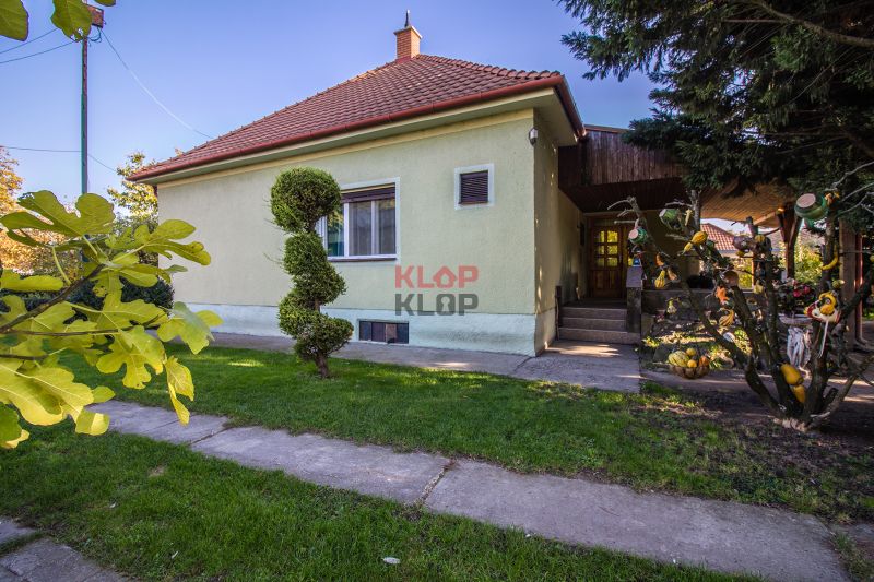 Kúpte si PÔVABNÝ 4i RD na SKVELOM POZEMKU s GARÁŽOU a HALAOU - Rodinný dom na ulici Malý Máger, pred ním záhrada s upravenými kríkmi.