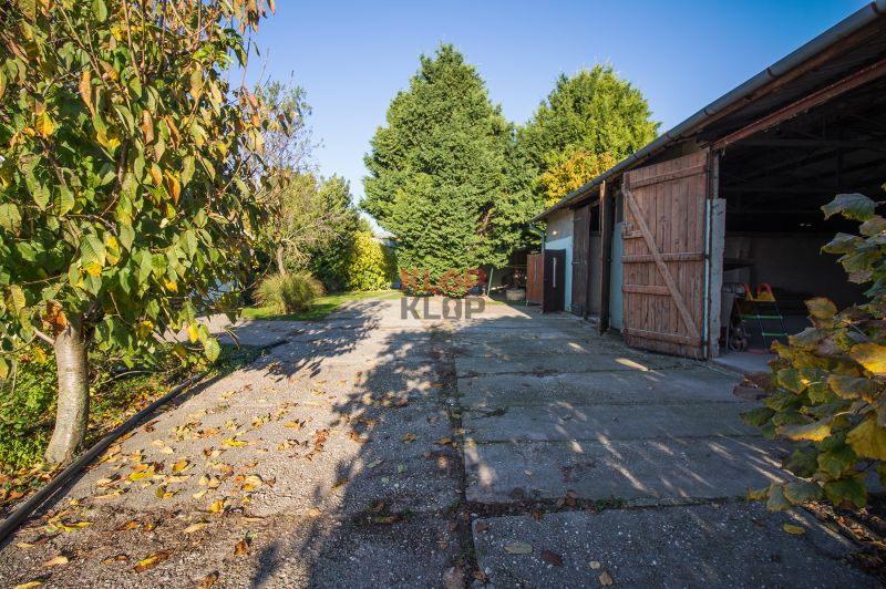 Kúpte si PÔVABNÝ 4i RD na SKVELOM POZEMKU s GARÁŽOU a HALAOU - Záhrada na ulici Malý Máger, pri rodinnom dome, obklopená zeleňou a drevenou stavbou.