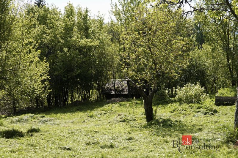 Na predaj pozemok 1898 m² - Horná Lehota, Nízke Tatry - Záhrady v Banskej Bystrici s hustým porastom stromov a trávnatou plochou.