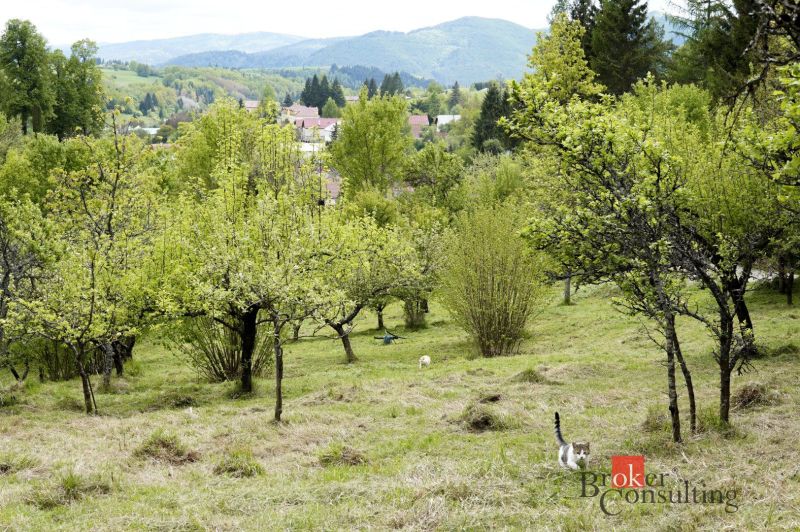 Na predaj pozemok 1898 m² - Horná Lehota, Nízke Tatry - Záhrady v Banskej Bystrici s bujnou zeleňou, kopcami a stromami.