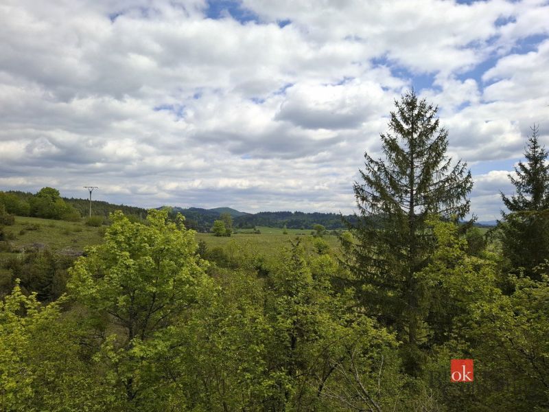 Na predaj pozemok 1898 m² - Horná Lehota, Nízke Tatry - Pohľad na zeleň a oblaky v záhradách v okolí Banskej Bystrice.