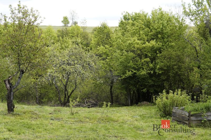 Na predaj pozemok 1898 m² - Horná Lehota, Nízke Tatry - Záhrady v Banskej Bystrici s kvetmi a stromami obklopené zelenými porastmi.