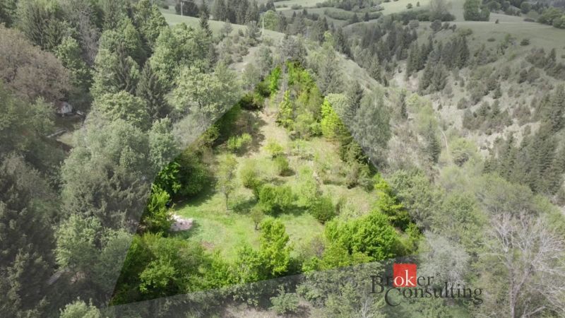 Na predaj pozemok 1898 m² - Horná Lehota, Nízke Tatry - Zalesnené záhrady v Banskej Bystrici obklopené zelenými kopcami a stromami.