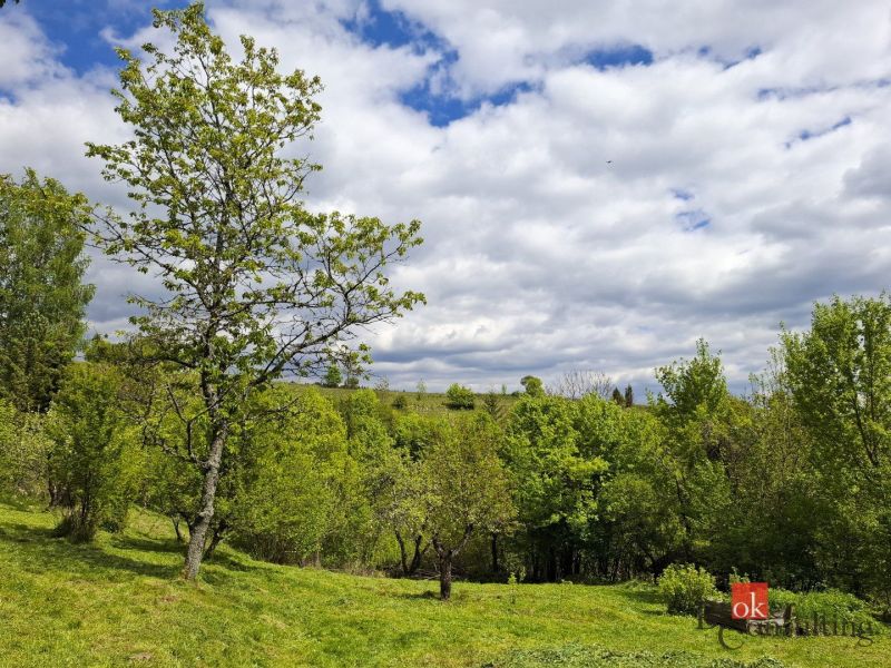 Na predaj pozemok 1898 m² - Horná Lehota, Nízke Tatry - Záhrady v Banskej Bystrici s listnatými stromami pod oblačnou oblohou.