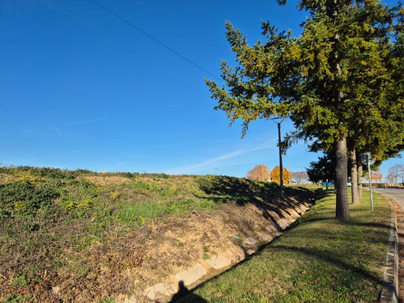 VELČICE - Stavebný pozemok, od 650 m2, okr. Zlaté Moravce - Pozemky - bývanie v obci Velčice, trávnatý svah a stromy popri ceste.