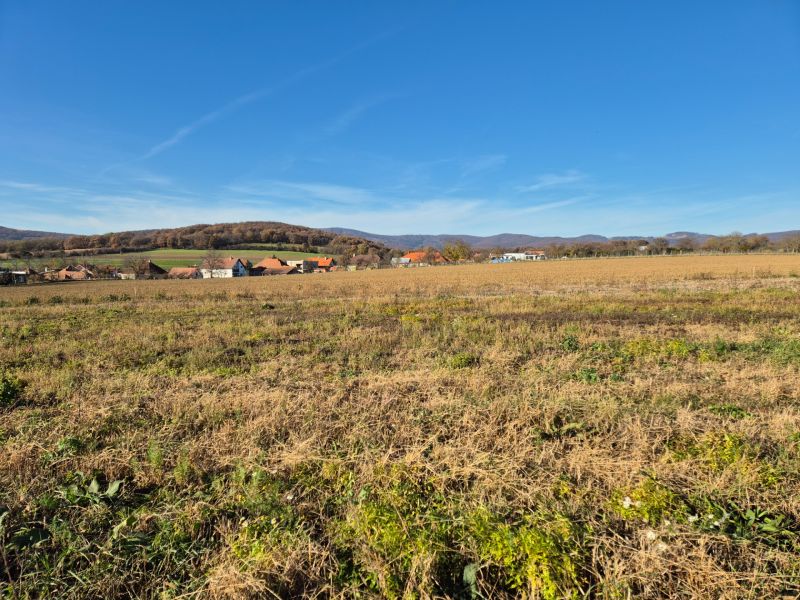 VELČICE - Stavebný pozemok, od 650 m2, okr. Zlaté Moravce - Pozemky - bývanie vo Velčiciach s výhľadom na kopce a dedinskú zástavbu.