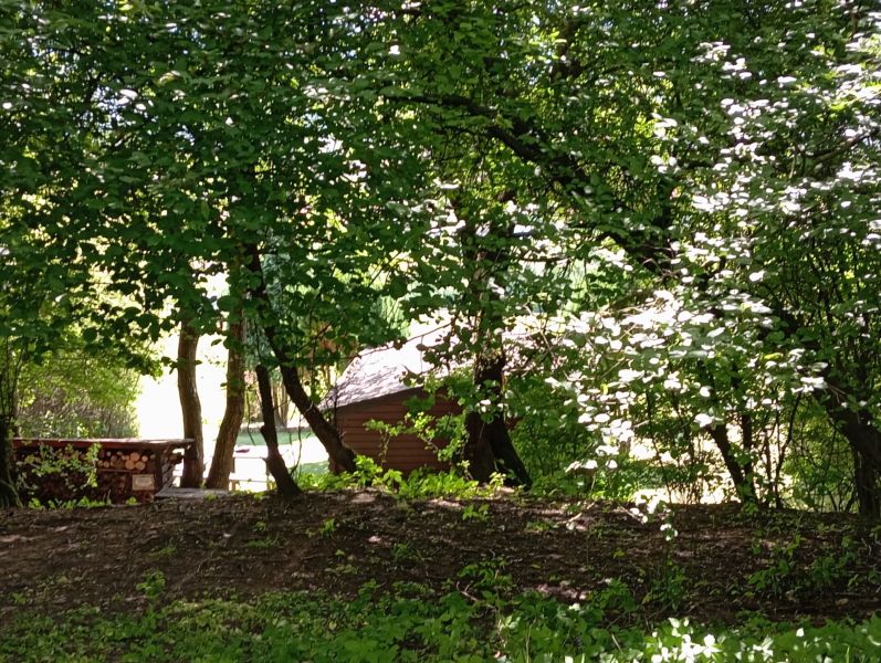 TURANY- rekreačná chata na pozemku 700m2 - Na obrázku sú stromy a drevená chata skrytá medzi zeleňou na ulici Černík.