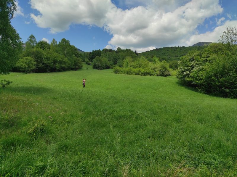 ŠÚTOVO,  pozemok 6047m2,okr. MARTIN - Rozľahlé zelené pozemky obklopené prírodou, ideálne pre bývanie a relaxáciu.