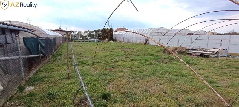 Na predaj starší rodinný dom v meste Nesvady - Skleníky a oplotená záhrada pri rodinnom dome v Nesvadoch.