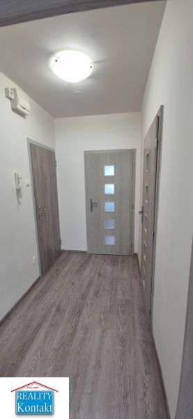 Na prenájom kompletne prerob. NOVÝ 1 izbový byt čiast.zar. Nové Zámky - Chodba s podlahou s dreveným dekorom v 1-izbovom byte, neutrálny farebný dizajn.