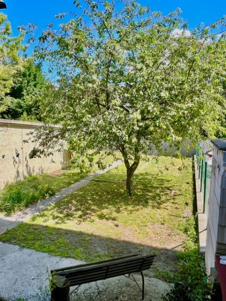 Výnimočná adresa na Nivách – dom s projektom a stavebným povolením - Záhrada rodinného domu na Líščích nivách v Bratislave-Nivy, lavička, strom, chodníček.
