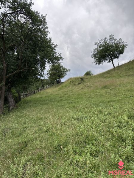 Pozemok na predaj – Horný Vadičov, 1071m2 - Zelené svahy a stromy na poľnohospodárskych a lesných pozemkoch blízko Horného Vadičova.