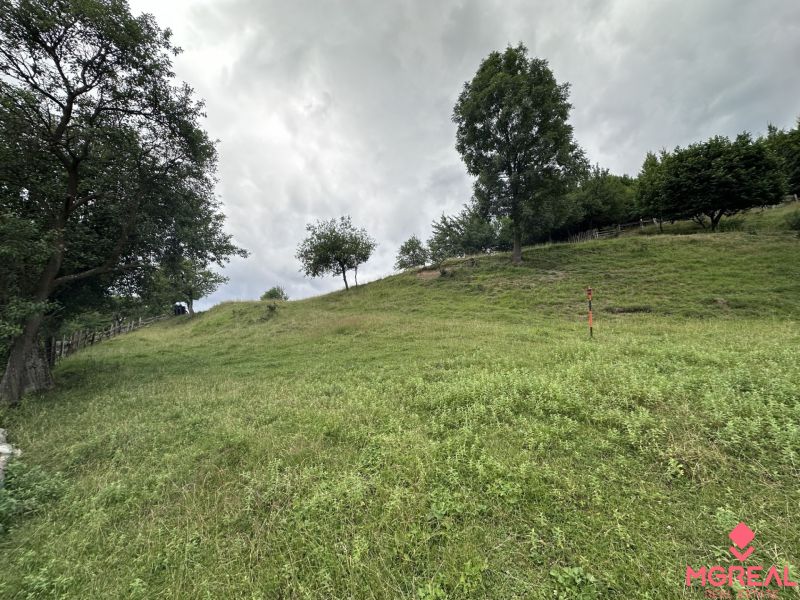Pozemok na predaj – Horný Vadičov, 1071m2 - Zeleň poľnohospodárskych a lesných pozemkov v Hornom Vadičove s kopcovitým terénom a stromami.