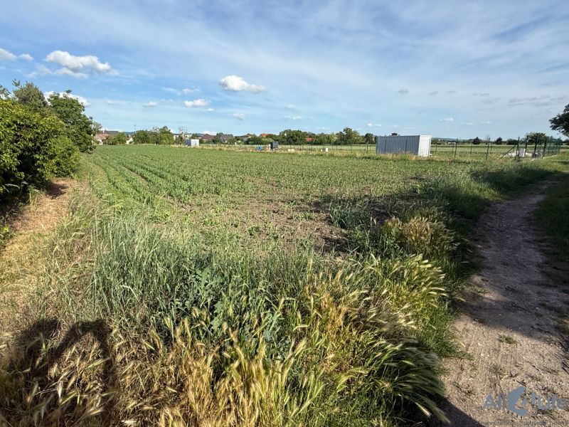 INVESTÍCIA S POTENCIÁLOM | POZEMOK 4 644 m² | KOCURICE – PIEŠŤANY