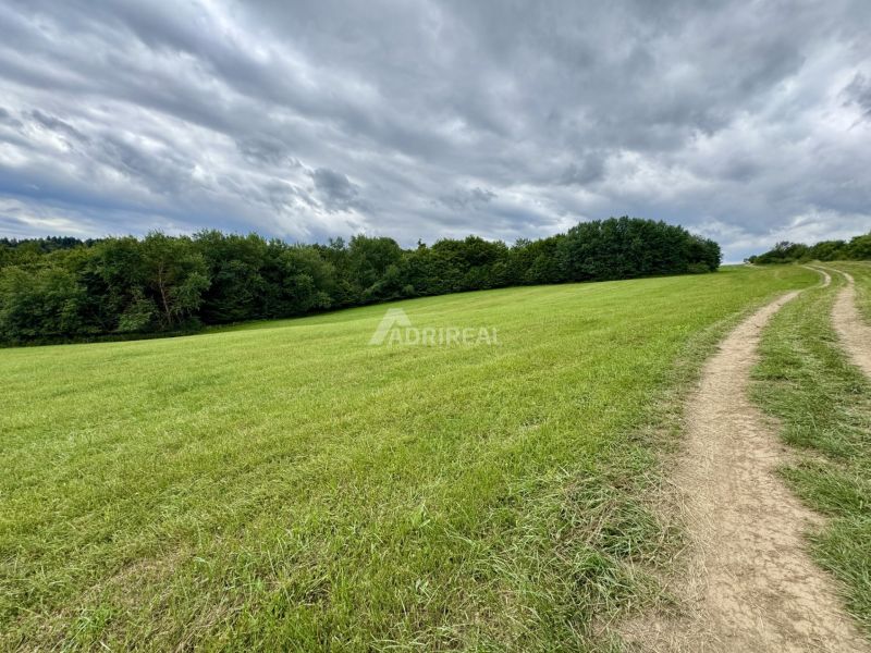 PREDAJ: rekreačný pozemok 564 m2;Bardejov-Zlaté; 39.900 € - Trávnatý pozemok s cestou na rekreačných pozemkoch v Bardejove pod zamračenou oblohou.