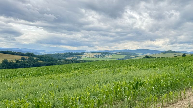 PREDAJ: rekreačný pozemok 564 m2;Bardejov-Zlaté; 39.900 € - Zelené polia a kopce na rekreačných pozemkoch v Bardejove pod zamračenou oblohou.