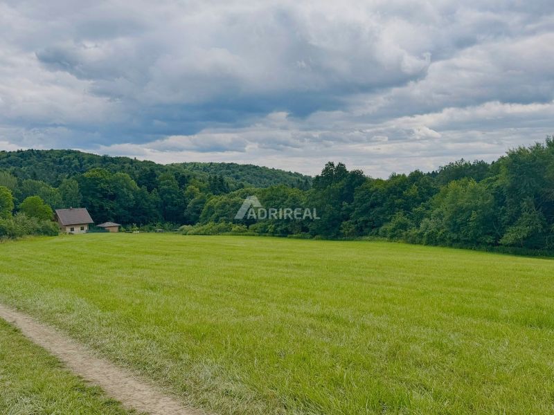 PREDAJ: rekreačný pozemok 564 m2;Bardejov-Zlaté; 39.900 € - Zelené Rekreačné pozemky v Bardejove s lesom a domom v pozadí.
