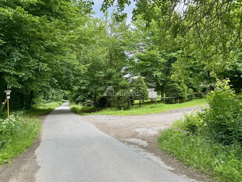 PREDAJ: rekreačný pozemok 564 m2;Bardejov-Zlaté; 39.900 € - Cesta obklopená zeleňou v Rekreačných pozemkoch pri Bardejove.