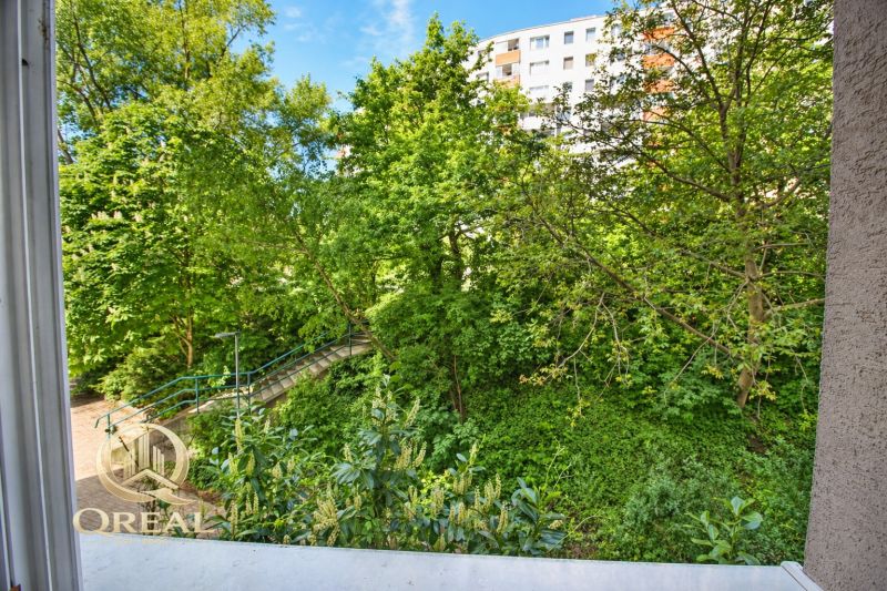  3-izbový byt Karlova Ves – Dlhé diely, 75,79 m², možnosť garáže* - Výhľad z 3-izbového bytu na zelenú alej na ulici Hlaváčikova, Bratislava - Karlova Ves.