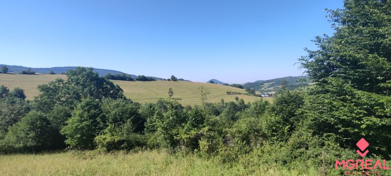 Slnečný pozemok 7 928 m² v Hornom Vadičove s výnimočným potenciálom - Kopcovitá krajina Horného Vadičova, poľnohospodárske a lesné pozemky s rozľahlými lúkami a zeleňou.