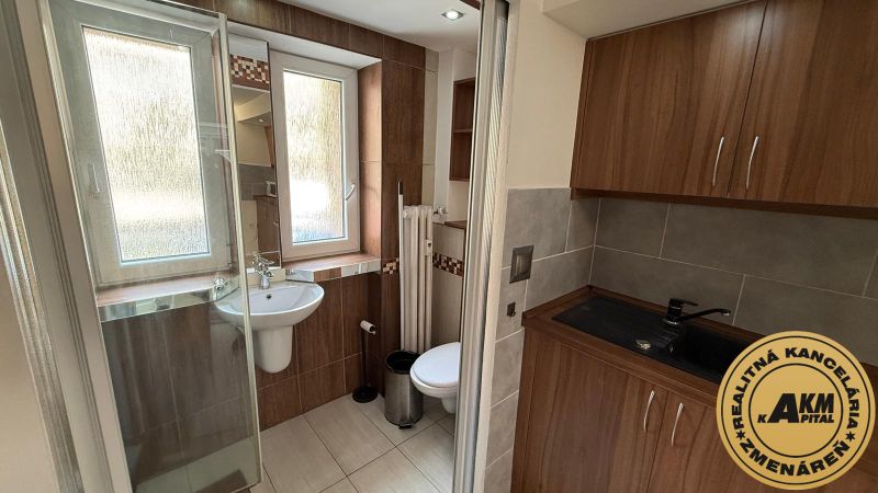 1 izbový 30m2 slnečný byt Zvolen centrum na PRENÁJOM ul. Študentská - Kúpeľňa v 1-izbovom byte s umývadlom a sprchovým kútom, drevené dekorácie.