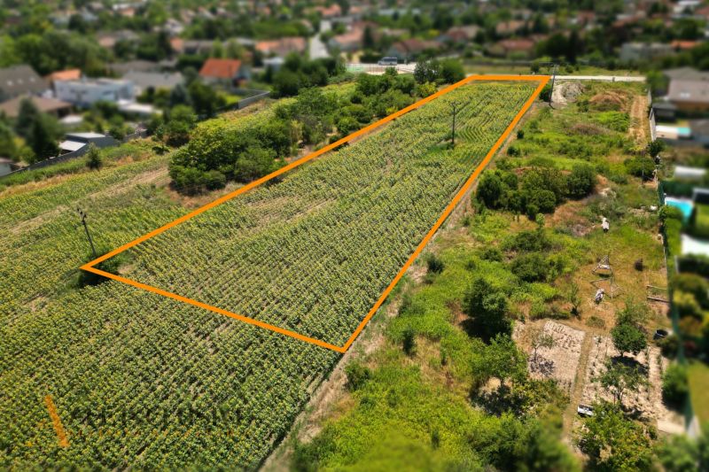 Na predaj stav. pozemok s projektom, Dunajská Lužná - V Dunajskej Lužnej sa nachádza ohraničený pozemok pre bývanie obklopený zeleňou.