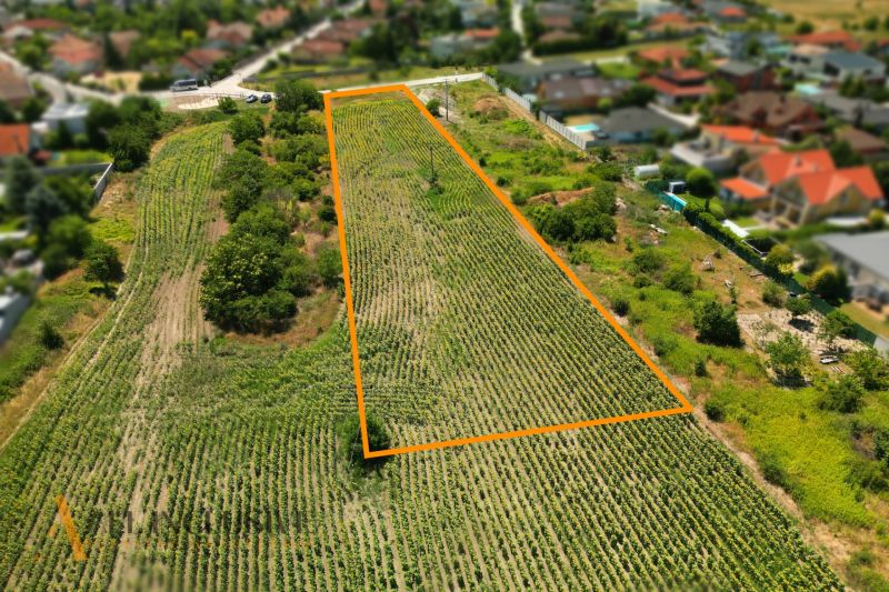 Na predaj stav. pozemok s projektom, Dunajská Lužná - Pozemky - bývanie v Dunajskej Lužnej s pestovanými poľnohospodárskymi plodinami a okolitou zeleňou.