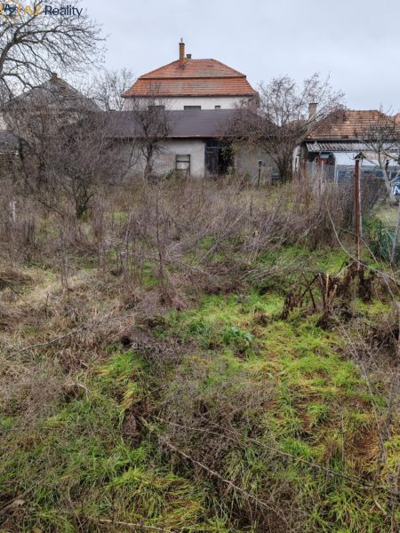Ponúkame Rodinný dom vhodný na bývanie aj podnikanie - Rodinný dom na Dlhej ulici v Komárne s neudržiavanou záhradou a holými stromami.