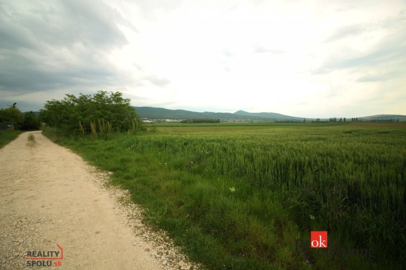 NA PREDAJ: Stavebný pozemok v lukratívnej časti Nitra – Chrenová - Vidiecka cesta vedie cez zelené polia s výhľadom na okolité kopce v Nitre. Pozemky - bývanie.