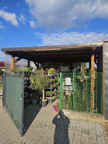 NA PREDAJ *** PREVÁDZKA  70M2 PRI HLAVNEJ CESTE V BERNOLÁKOVE *** - Obchodné priestory na Trnavskej ceste v Bernolákove s rastlinami a kvetmi pod prístreškom.