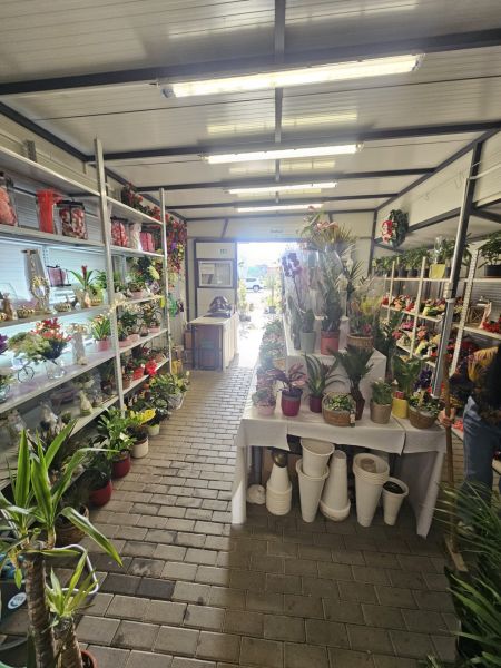 NA PREDAJ *** PREVÁDZKA  70M2 PRI HLAVNEJ CESTE V BERNOLÁKOVE *** - Obchodné priestory plné kvetov a dekorácií s dlaždenou podlahou.