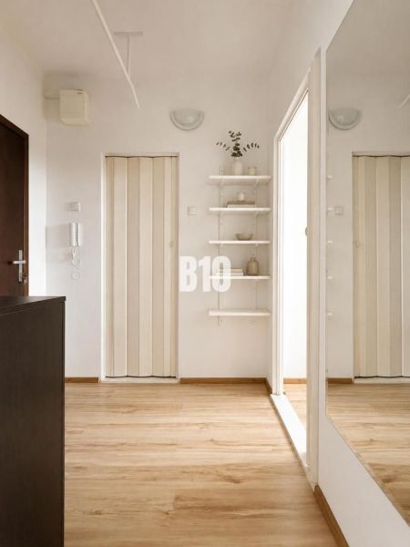 ŠTART 1-izbový byt pri Draždiaku - Útulná predsieň s podlahou s dreveným dekorom a minimalistickým vybavením v 1-izbovom byte.