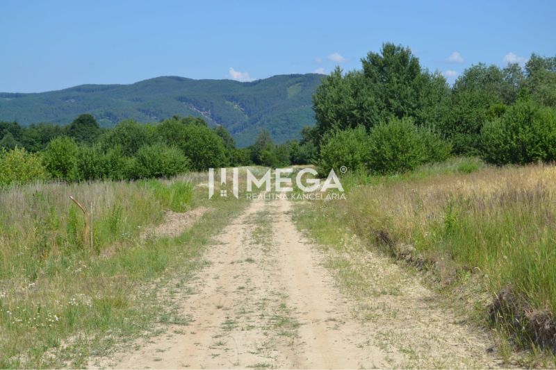 NOVÁ CENA-PREDAJ POZEMKU Zemplínske Hámre (2918 m2) - Vidiecka cesta obklopená zeleňou v Zemplínskych Hámroch, vhodná pre pozemky - bývanie.
