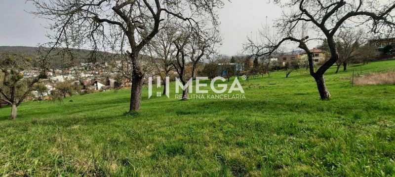 NA PREDAJ dom s veľkým pozemkom v meste Humenné - Pohľad na zelenú lúku so stromami a výhľadom na Humenné z Brestovskej ulice.
