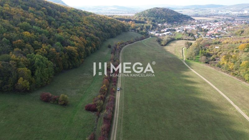 NA PREDAJ - investičný pozemok v obci Jasenov - Lúky a lesy lemujú cestu vedúcu do obce Jasenov z Jasenova. Zvláštne nehnuteľnosti.