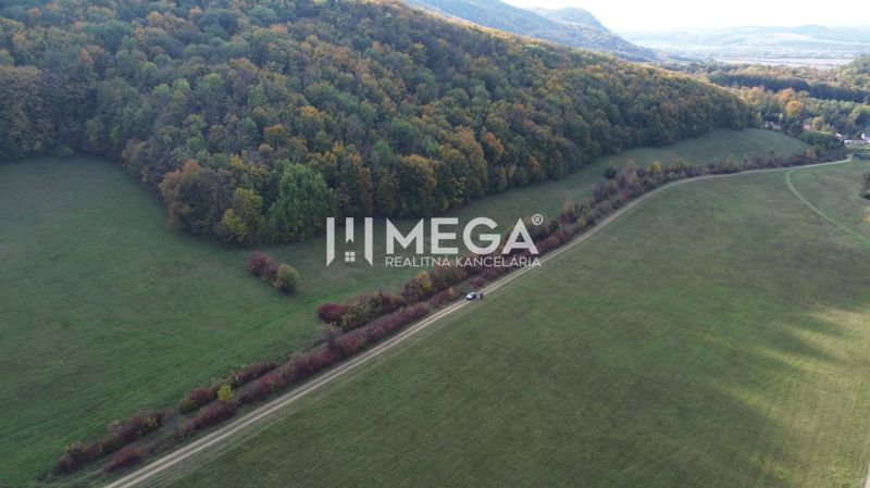 NA PREDAJ - investičný pozemok v obci Jasenov - Lúky a lesy v oblasti zvláštnych nehnuteľností pri Jasenove v okrese Jasenov.