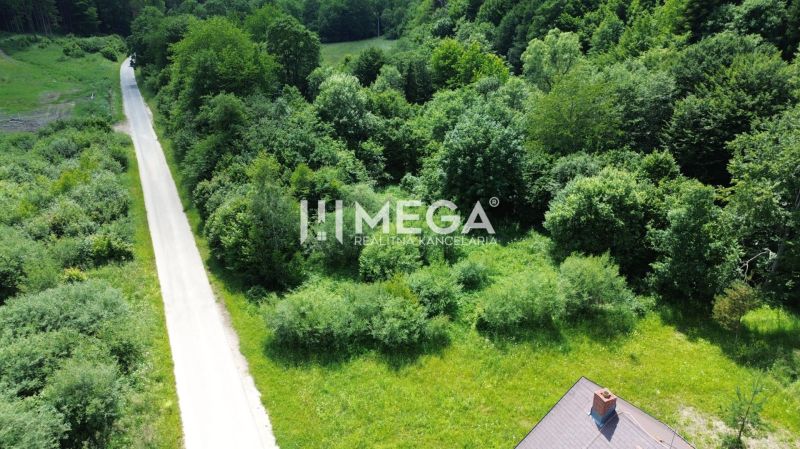 Investičný stavebný pozemok v oblasti Danová - 2 200m2 - Cesta obklopená zeleňou vedie cez Pozemky - bývanie na Danovej ulici v Medzilaborciach.