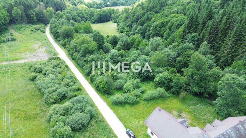 Investičný stavebný pozemok v oblasti Danová - 2 200m2 - Cesta obklopená zeleňou na Danovej ulici v Medzilaborciach, Pozemky - bývanie.