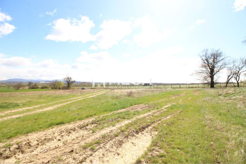 NA PREDAJ: Veľkorysý stavebný pozemok s výhľadom na Vranov - Pozemky - bývanie vo Vranove nad Topľou so zemitou cestou a stromami na horizonte.