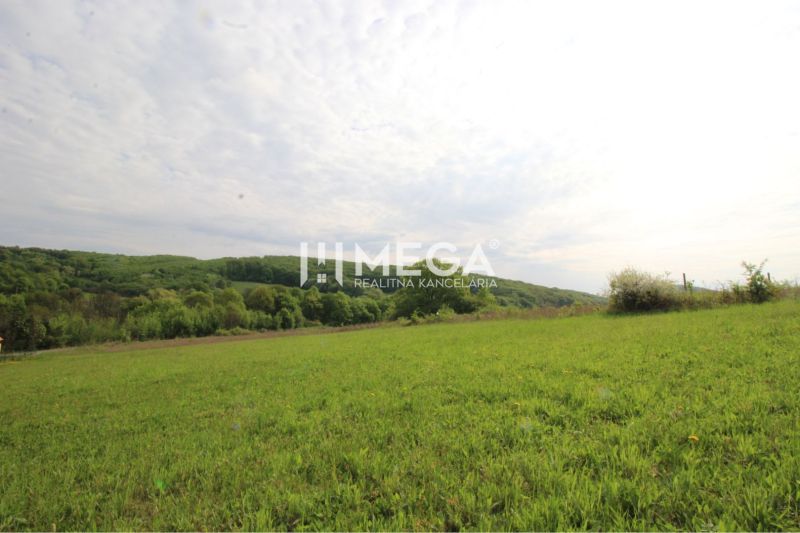 NA PREDAJ POZEMOK V SRDCI PRÍRODY - VYŠNÝ KAZIMÍR 1166 m² - Pozemky - bývanie v okolí Vyšného Kazimíra, zelená lúka s lesným pozadím pod zamračeným nebom.