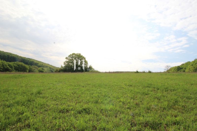 NA PREDAJ POZEMOK V LONE PRÍRODY - VYŠNÝ KAZIMÍR 1196 m² - Zeleň lúky a stromy v pozadí, Vyšný Kazimír, pozemky - bývanie.