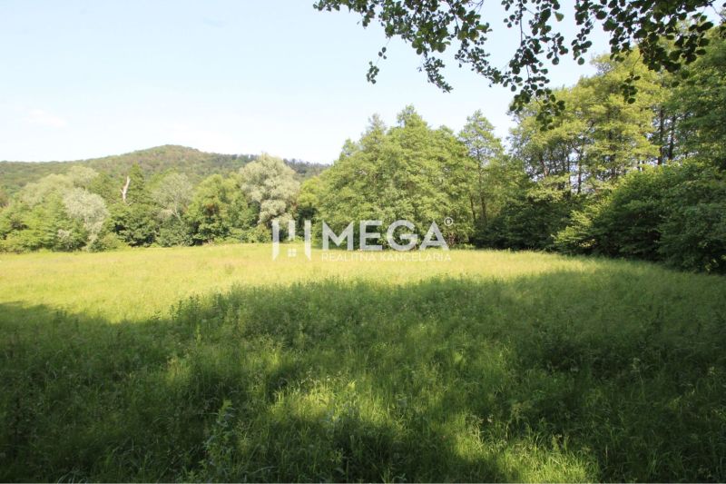 NA PREDAJ POZEMKY NA MIERU už od 1000 m²  - obec PTIČIE - Zeleň, stromy a lúka na pozemkoch v Ptičom vhodných na bývanie.