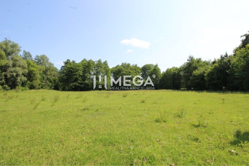 NA PREDAJ POZEMKY NA MIERU už od 1000 m²  - obec PTIČIE - Zelené pozemky na bývanie v obci Ptičie obklopené stromami a modrou oblohou.