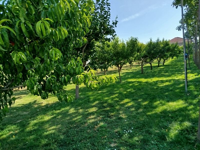 Pozemok Branovo