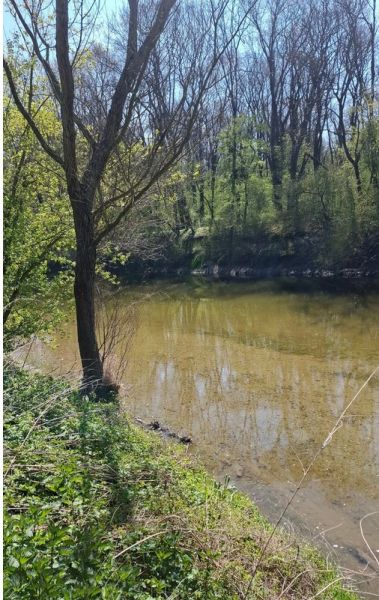 PREDAJ - Záhradná chata na Devínskej ceste  - Rieka obklopená zeleňou a stromami v záhradách na Devínskej ceste, Bratislava - Devínska Nová Ves.