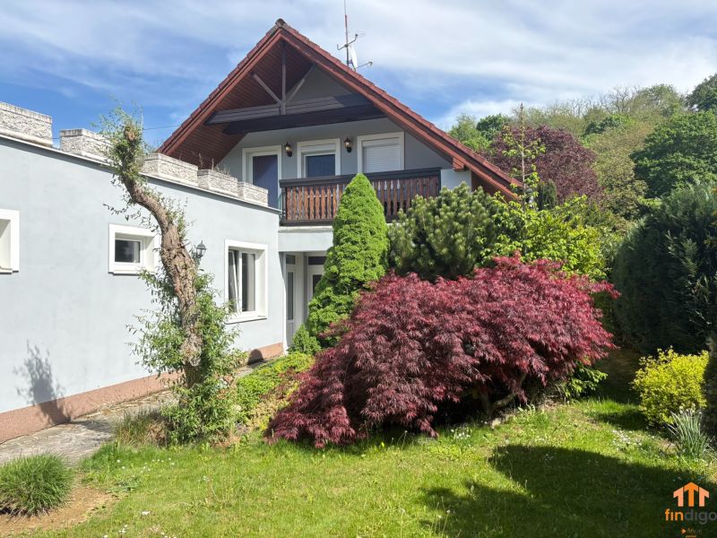 PREDAJ - 4-izbový luxusný rodinný dom s investičným pozemkom  - Rodinný dom v Moravanoch nad Váhom so záhradou plnou zelene a pôsobivou architektúrou.