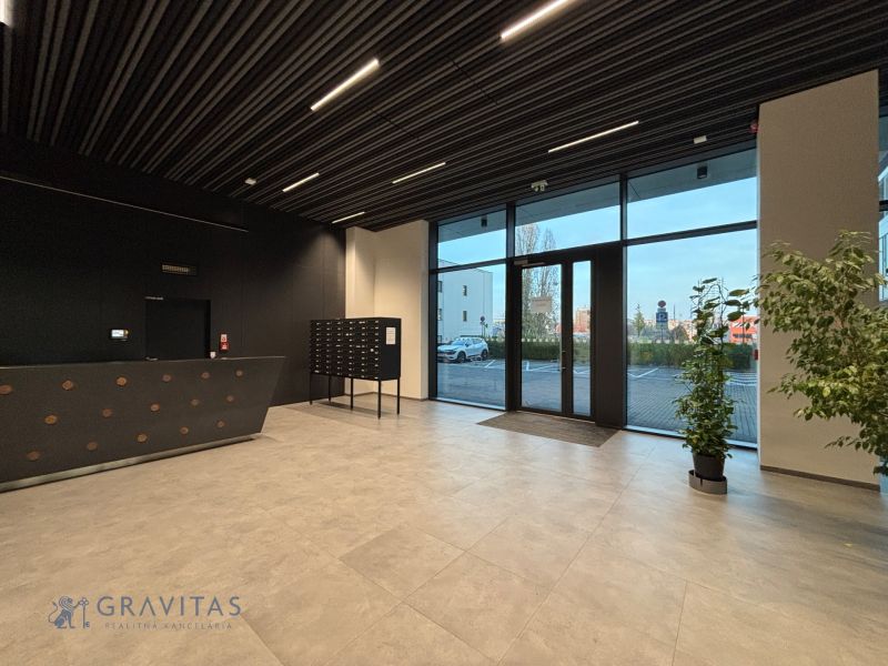 NA PREDAJ | 3izb. veľkometrážny ateliér | Prístavná ulica - Recepcia s tmavou stenou, poštovými schránkami, rastlinami a presklenými dverami na Prístavnej ulici.